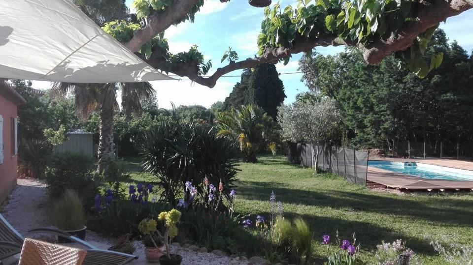 Mas Uranie Bed & Breakfast Le Soler Exterior photo