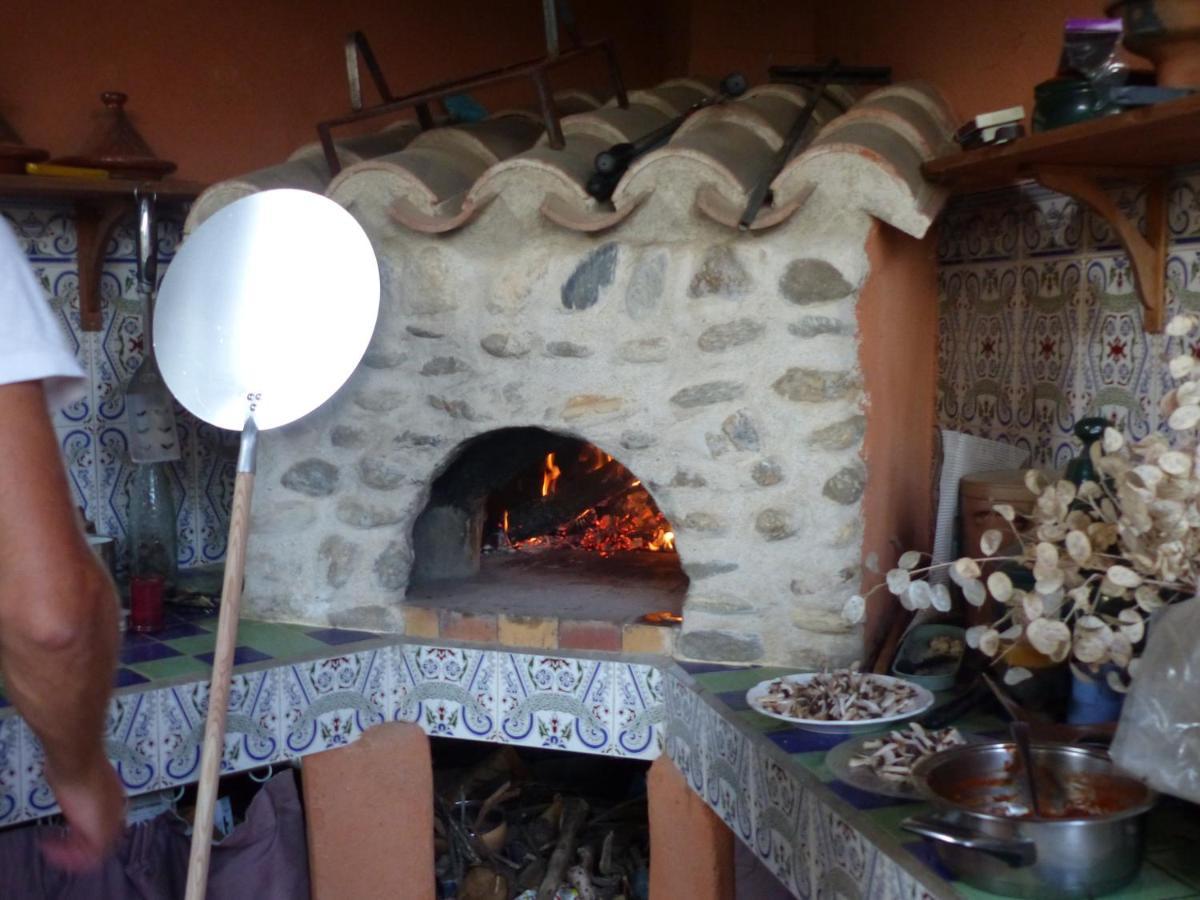 Mas Uranie Bed & Breakfast Le Soler Exterior photo